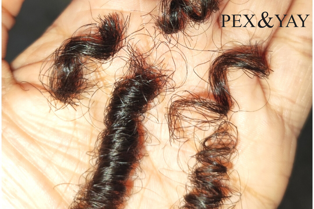 PEX & YAY How Often Do You Cut Curly Hair When Growing it Out 